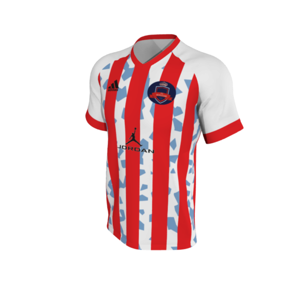 Maillots Perfect Models 31 Maillots. (x 5)
